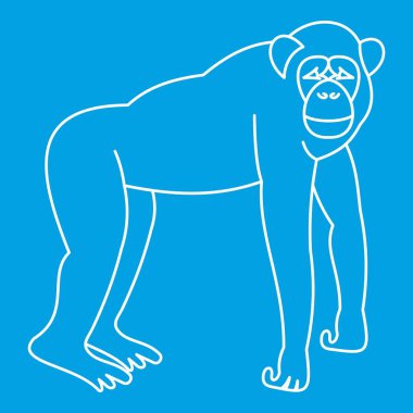 Marmoset maymun simgesi, anahat stili