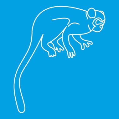 Capuchin maymun simgesi, anahat stili