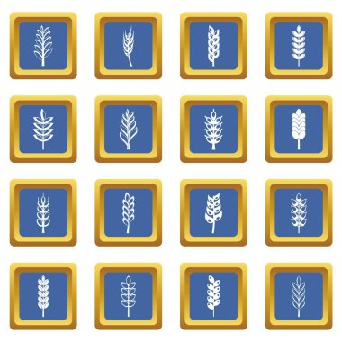 Kulak Mısır simgeleri mavi ayarla