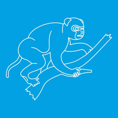 Maymun simgesi, anahat