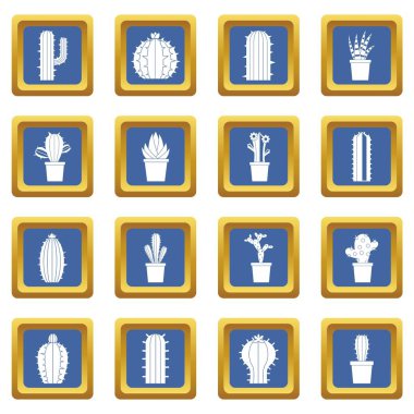 Farklı kaktüsler simgeleri mavi ayarla