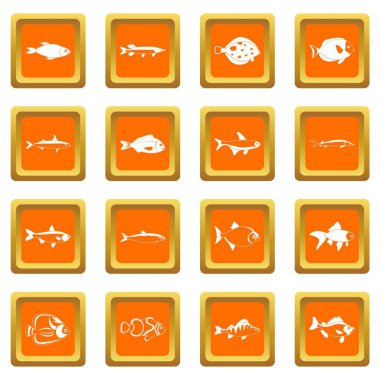 Balık Icons set turuncu