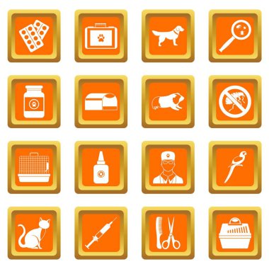 Turuncu veteriner Icons set