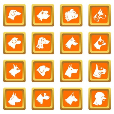 Turuncu köpek Icons set