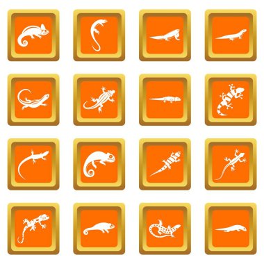 Turuncu kertenkele Icons set