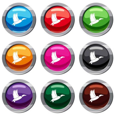 Ördek 9 koleksiyonu ayarla