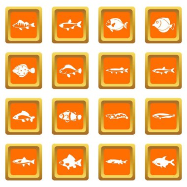 Turuncu şirin balık Icons set