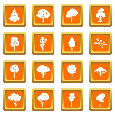 Portakal ağaçları Icons set