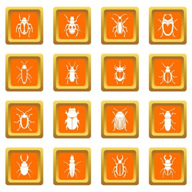 Böcek Icons set turuncu