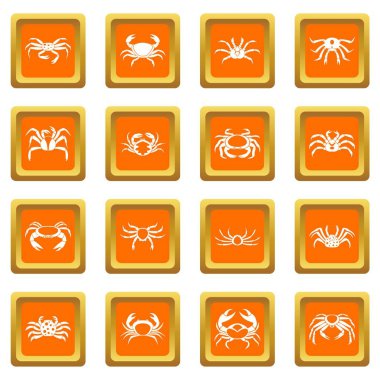 Çeşitli yengeç simgeler kümesi turuncu