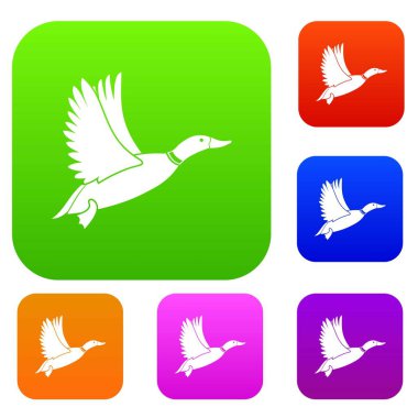 Ördek koleksiyonu ayarla