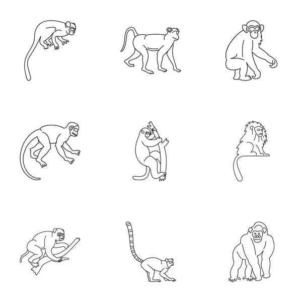 Monkey icon set, outline style — Stock Vector