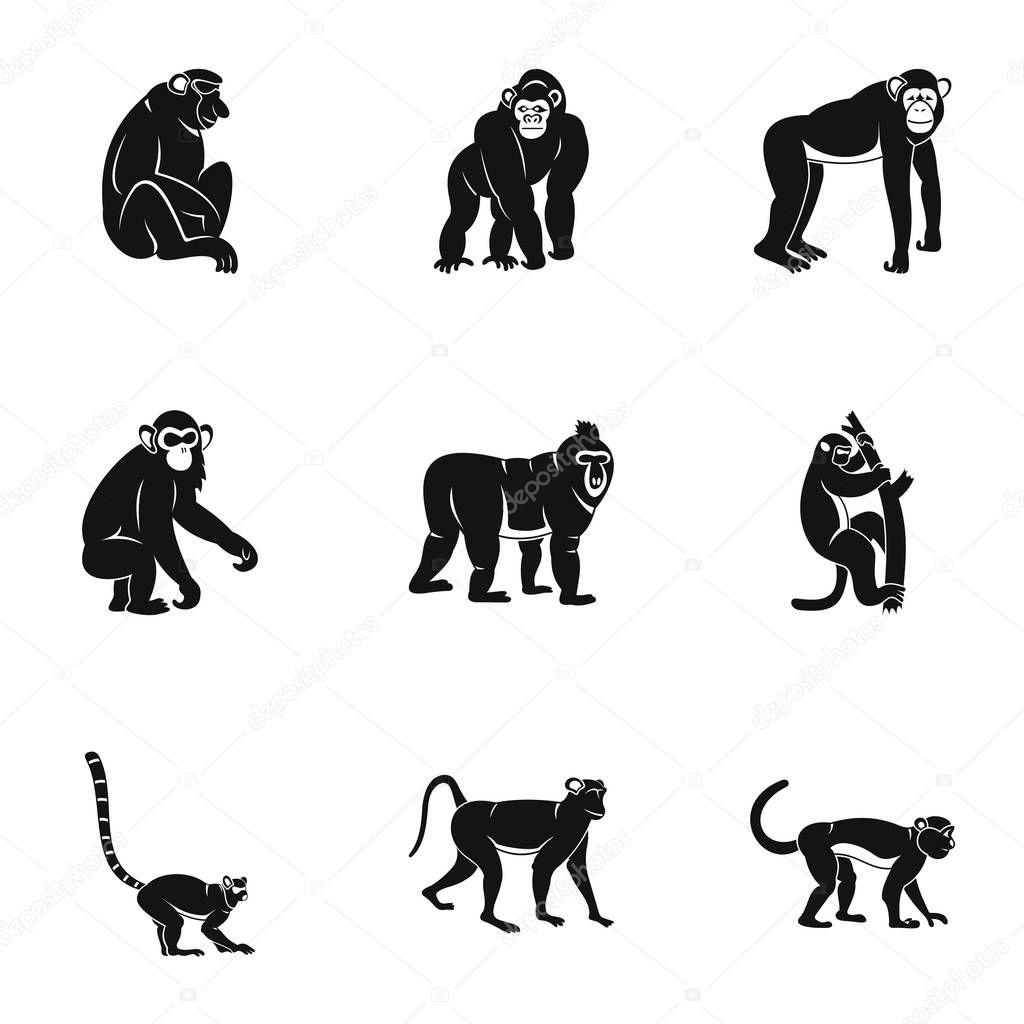 Monkey icon set, simple style