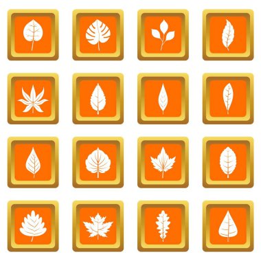 Bitki Icons set portakal yapraklar