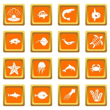 Turuncu deniz hayvanları Icons set