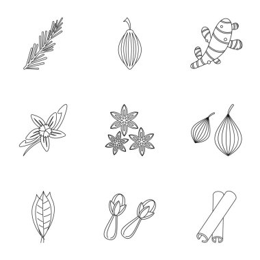 Baharat simge seti, anahat stili