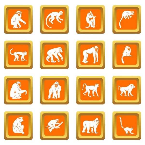 Aap typen pictogrammen instellen oranje — Stockvector