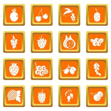 Turuncu meyveler Icons set