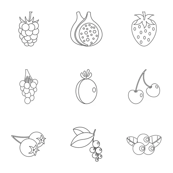 Berries icon set, outline style — Stock Vector