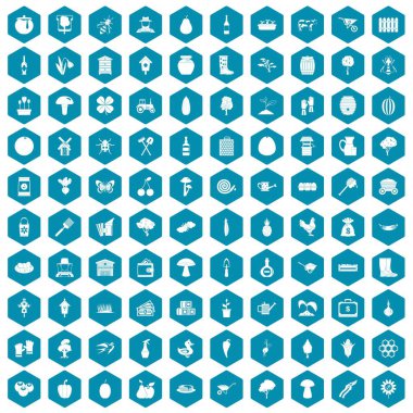 100 simgeleri sapphirine mor tarım