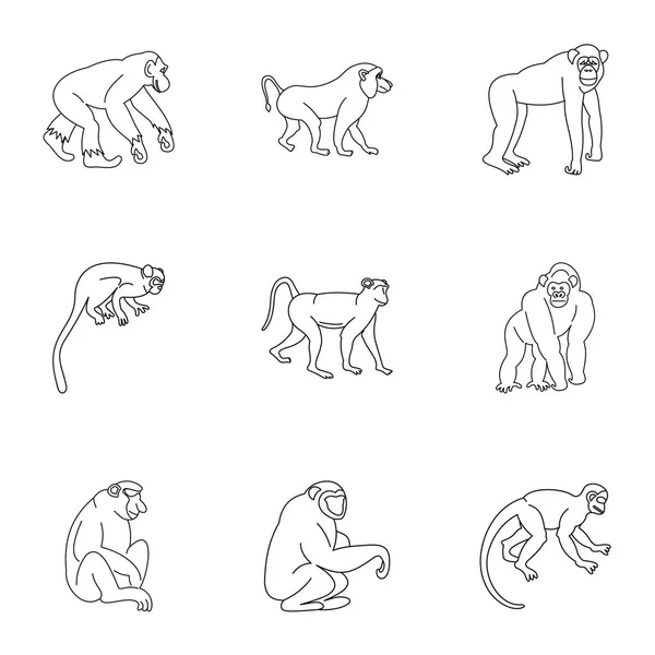 Вид обезьяньего набора иконок, стиль контура — стоковый вектор