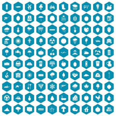 100 meyve simgeler sapphirine menekşe