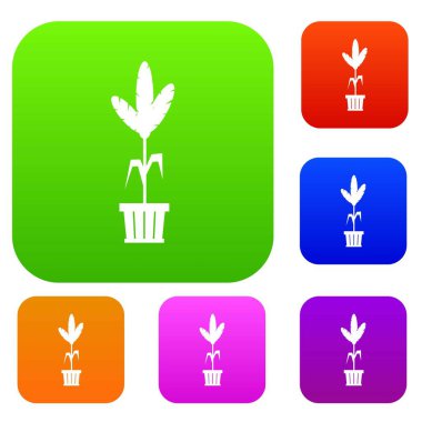 Dekorasyon bitki pot set koleksiyonu