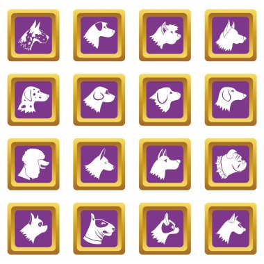 Mor köpek Icons set