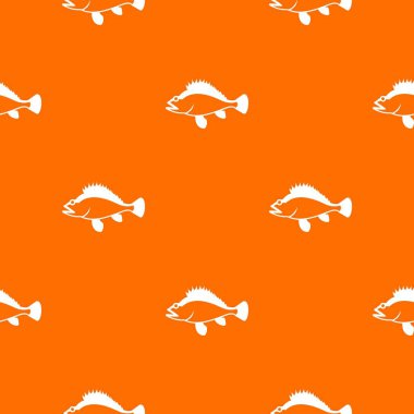 Gül balık, Sebastes norvegicus model sorunsuz