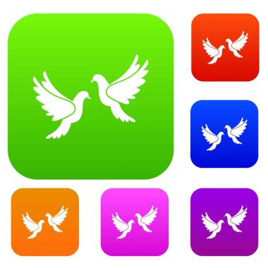 Düğün güvercinler koleksiyonu ayarla