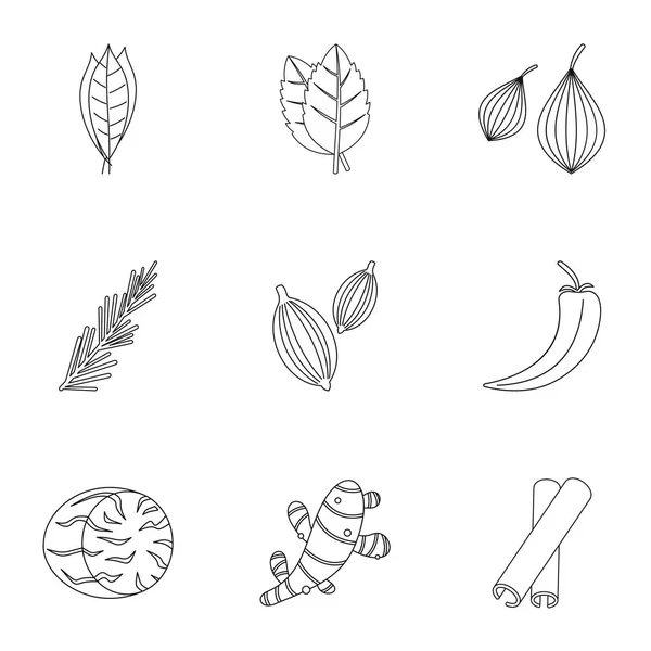 Öko-Gewürze und Kräuter-Icon-Set, Outline-Stil — Stockvektor