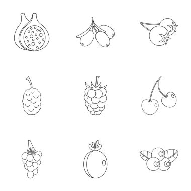 Doğal Çilek simge seti, anahat stili