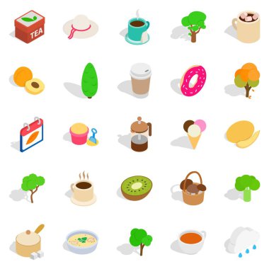 Özellik simgeler kümesi, izometrik stili