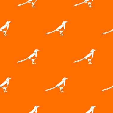 Kuş magpie desen sorunsuz