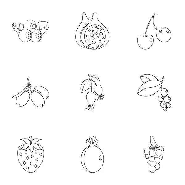 Plant berries icon set, outline style — Stock Vector