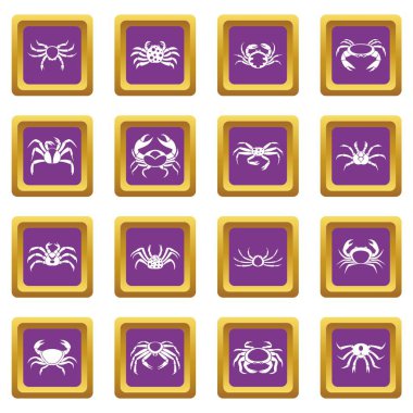 Yengeç ilahları mor ayarla