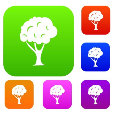 Ağaç Set koleksiyonu