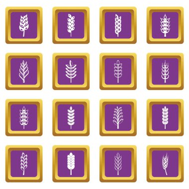 Mor kulak Mısır Icons set