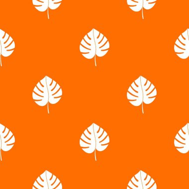 Monstera desen sorunsuz yaprak