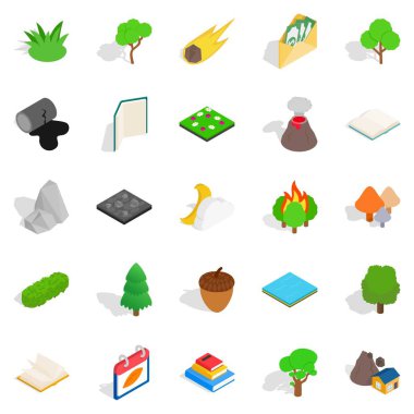 Odunsu Icons set, izometrik stili