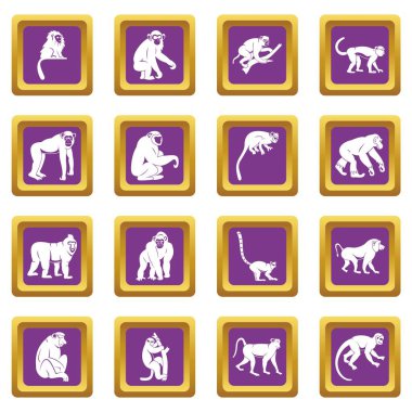 Mor maymun türleri Icons set