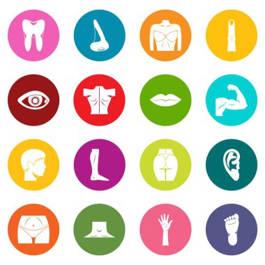 Body parts icons many colors set clipart