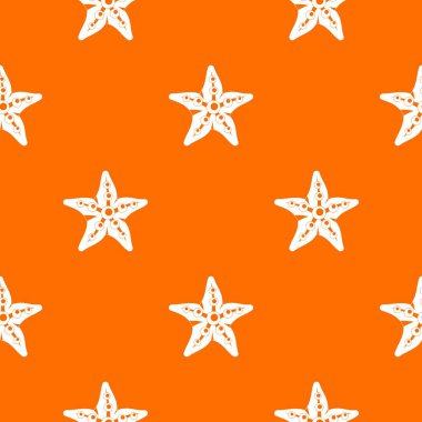 Deniz yıldızı model sorunsuz