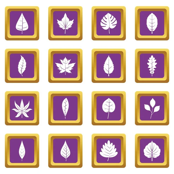 Plant leafs icons set purple — Stock Vector