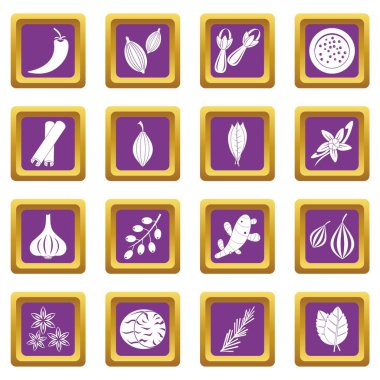 Mor baharat Icons set