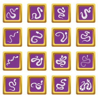Mor yılan Icons set