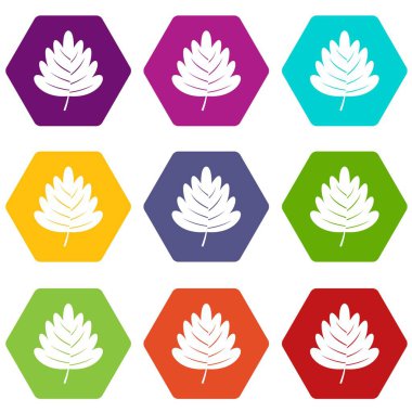Renk altı yüzlü alıç yaprağı Icon set