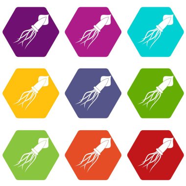 Renk altı yüzlü kalamar Icon set