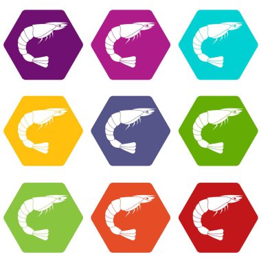 Renk altı yüzlü taze deniz karides Icon set