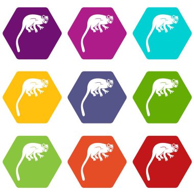 Renk altı yüzlü marmoset maymun Icon set